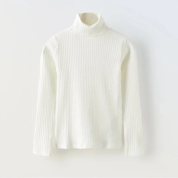 Zara | Ribbed Turtleneck - Picture 1 of 2